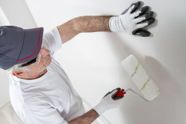 Best Comprehensive Air Testing for Mold Contaminants  in Montebello, NY