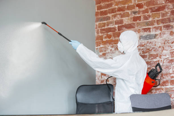 Reliable Montebello, NY Mold Removal Solutions