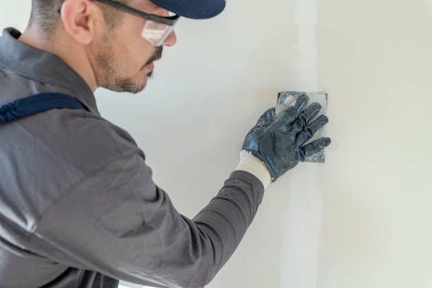 Best Industrial Mold Remediation  in Montebello, NY