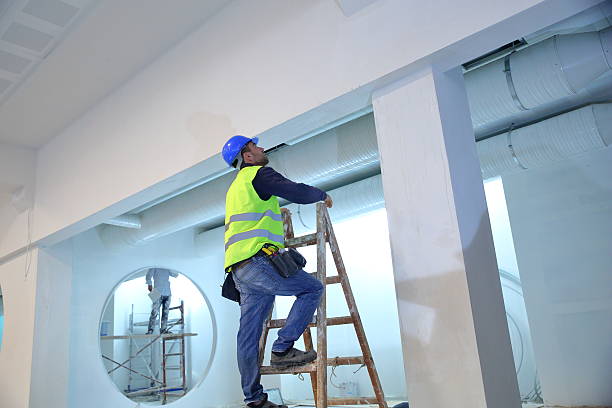 Best Mold Documentation for Insurance Claims  in Montebello, NY